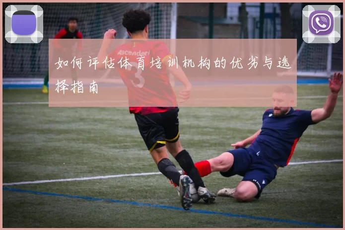 如何评估体育培训机构的优劣与选择指南