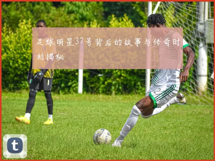 足球明星37号背后的故事与传奇时刻揭秘